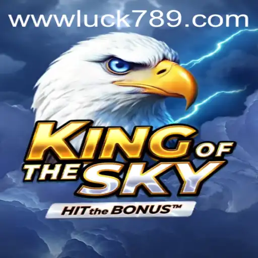 Experience Thrilling Adventures with KingOfTheSky: A Deep Dive