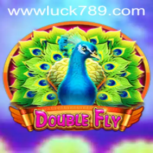 The Fascinating World of DoubleFly: Engaging Gameplay and Understanding now
